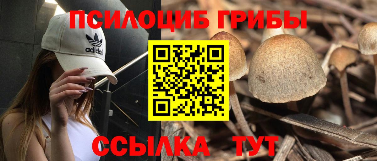 Псилоцибиновые грибы MAGIC MUSHROOMS  хочу   Вход с VPN  Лабинск  Галлюциногенные грибы MAGIC MUSHROOMS 