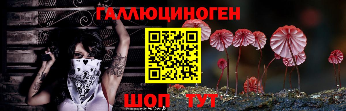 Псилоцибиновые грибы Magic Shrooms Лабинск